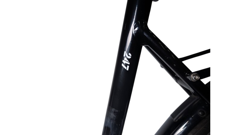 München Gebraucht | Diamant 247 | Shimano Nexus | 55