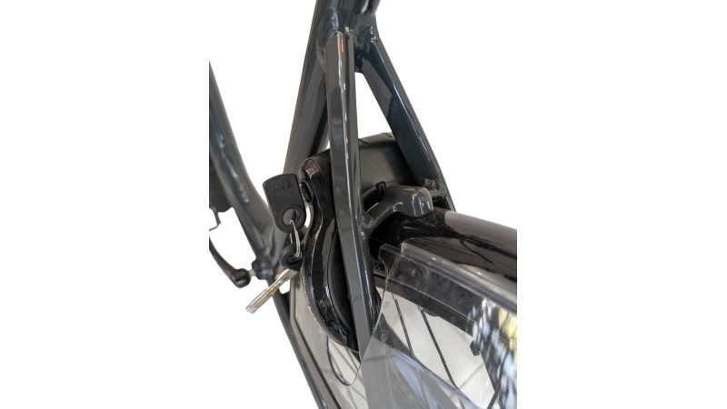 Citybike München | Gazelle Arroyo C7+| Shimano Nexus | M