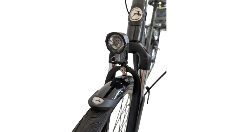 Citybike München | Gazelle Arroyo C7+| Shimano Nexus | M