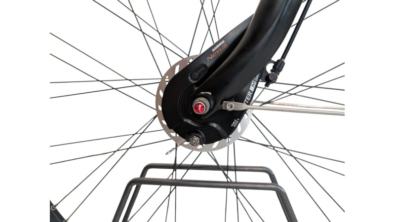 Citybike München | Gazelle Arroyo C7+| Shimano Nexus | M