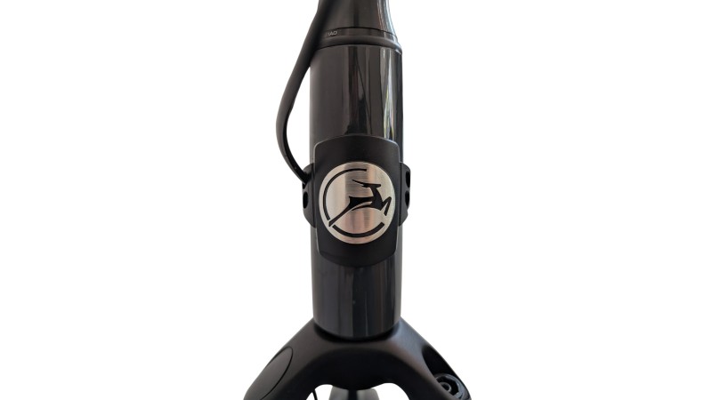 Citybike München | Gazelle Arroyo C7+| Shimano Nexus | M