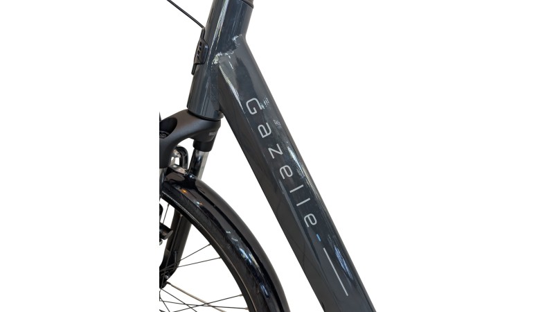 Citybike München | Gazelle Arroyo C7+| Shimano Nexus | M