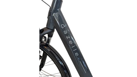 Citybike München | Gazelle Arroyo C7+| Shimano Nexus | M