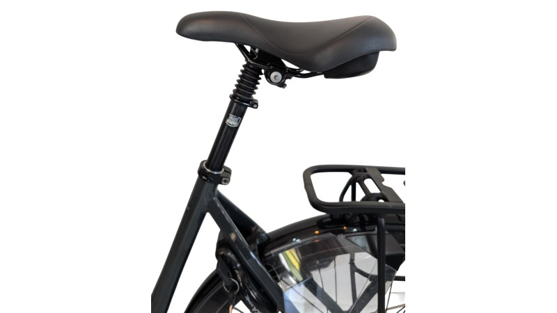 Citybike München | Gazelle Arroyo C7+| Shimano Nexus | M