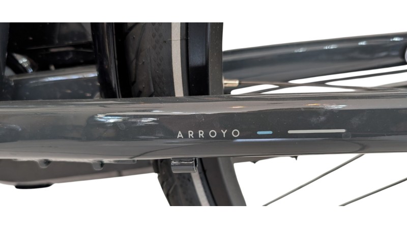 Citybike München | Gazelle Arroyo C7+| Shimano Nexus | M