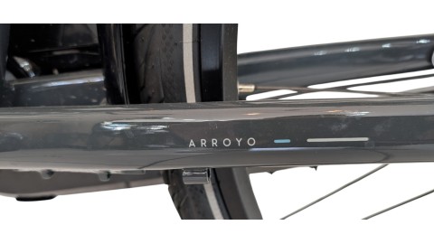 Citybike München | Gazelle Arroyo C7+| Shimano Nexus | M