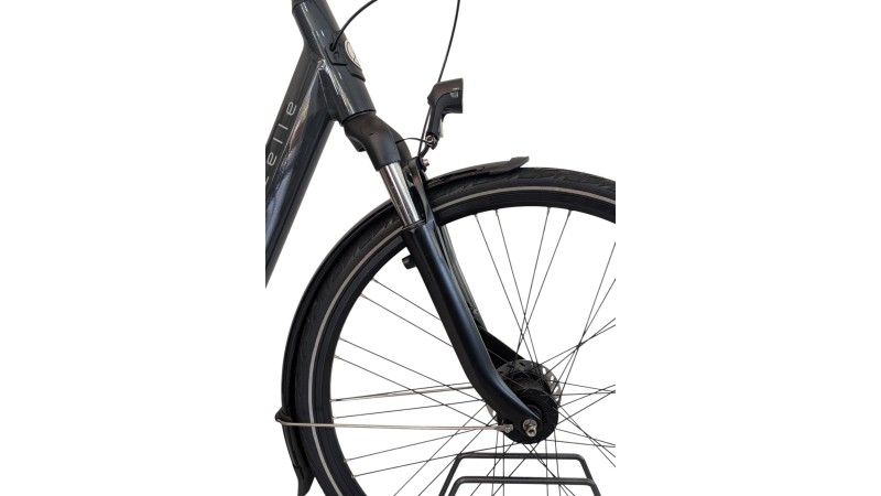 Citybike München | Gazelle Arroyo C7+| Shimano Nexus | M