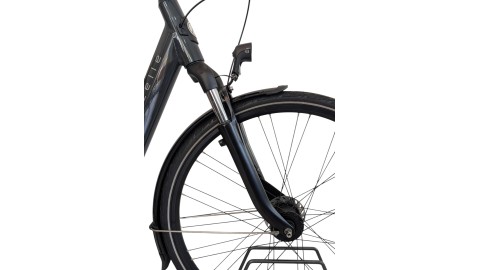 Citybike München | Gazelle Arroyo C7+| Shimano Nexus | M