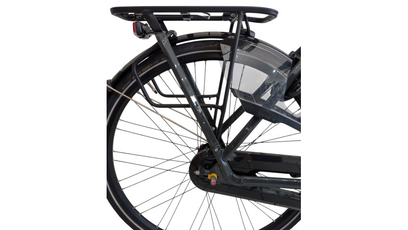 Citybike München | Gazelle Arroyo C7+| Shimano Nexus | M