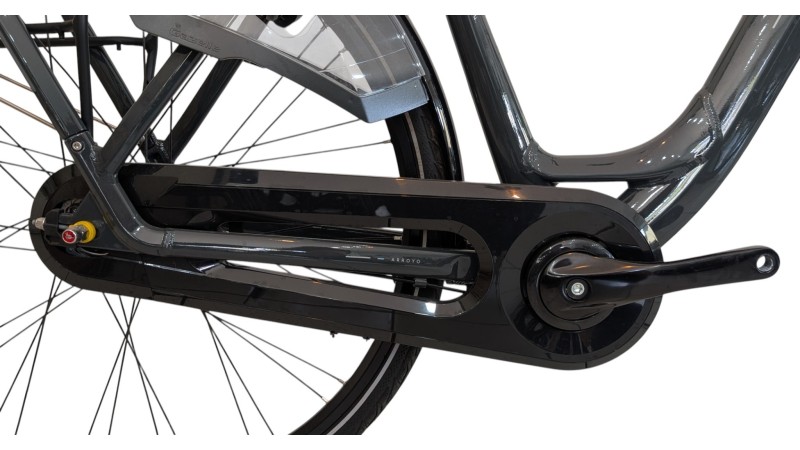 Citybike München | Gazelle Arroyo C7+| Shimano Nexus | M