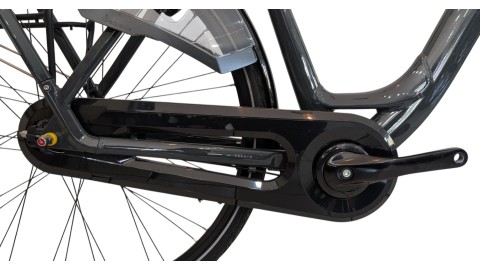 Citybike München | Gazelle Arroyo C7+| Shimano Nexus | M