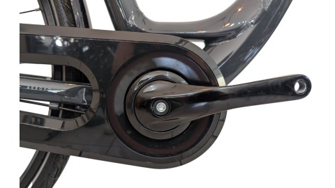 Citybike München | Gazelle Arroyo C7+| Shimano Nexus | M