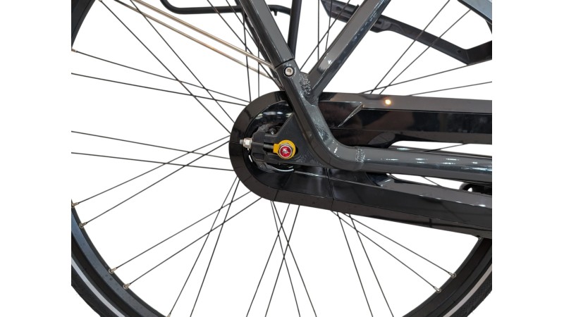 Citybike München | Gazelle Arroyo C7+| Shimano Nexus | M