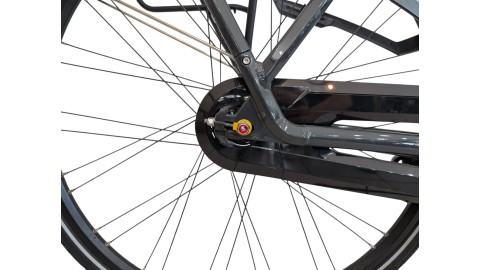 Citybike München | Gazelle Arroyo C7+| Shimano Nexus | M