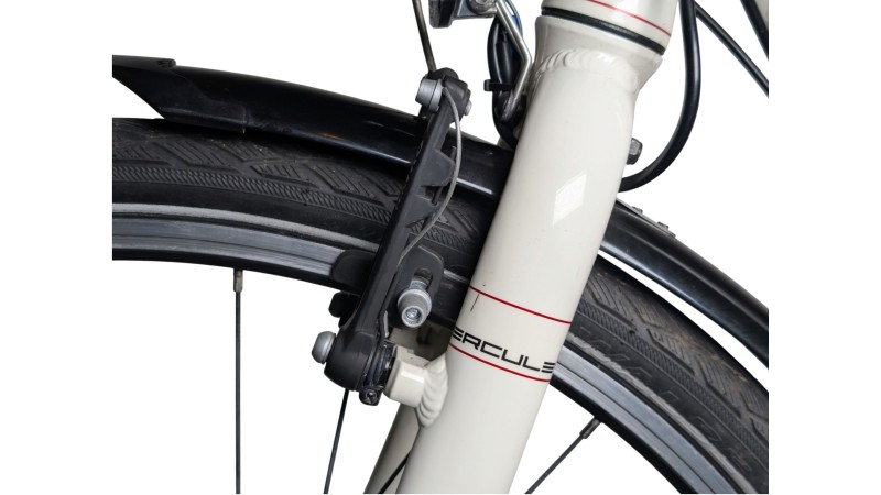 City München | Hercules Valencia Lite| Shimano Nexus | 51