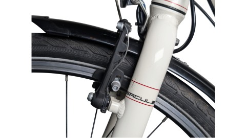 City München | Hercules Valencia Lite| Shimano Nexus | 51
