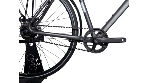 Trekkingrad München | Rabeneick TS5 | Shimano Alfine | 55