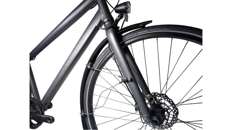 Trekkingrad München | Rabeneick TS5 | Shimano Alfine | 55