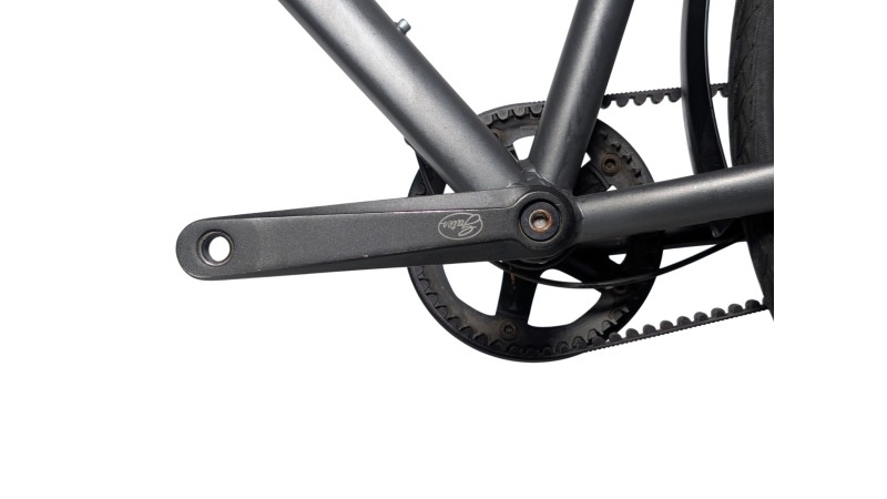 Trekkingrad München | Rabeneick TS5 | Shimano Alfine | 55