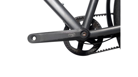 Trekkingrad München | Rabeneick TS5 | Shimano Alfine | 55