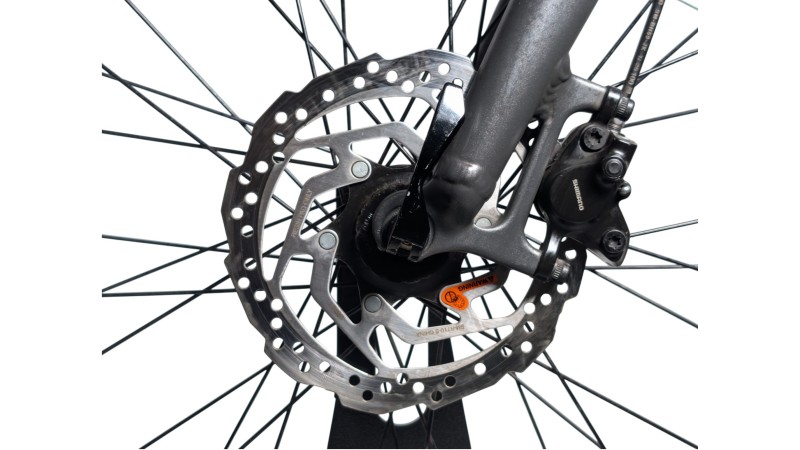 Trekkingrad München | Rabeneick TS5 | Shimano Alfine | 55