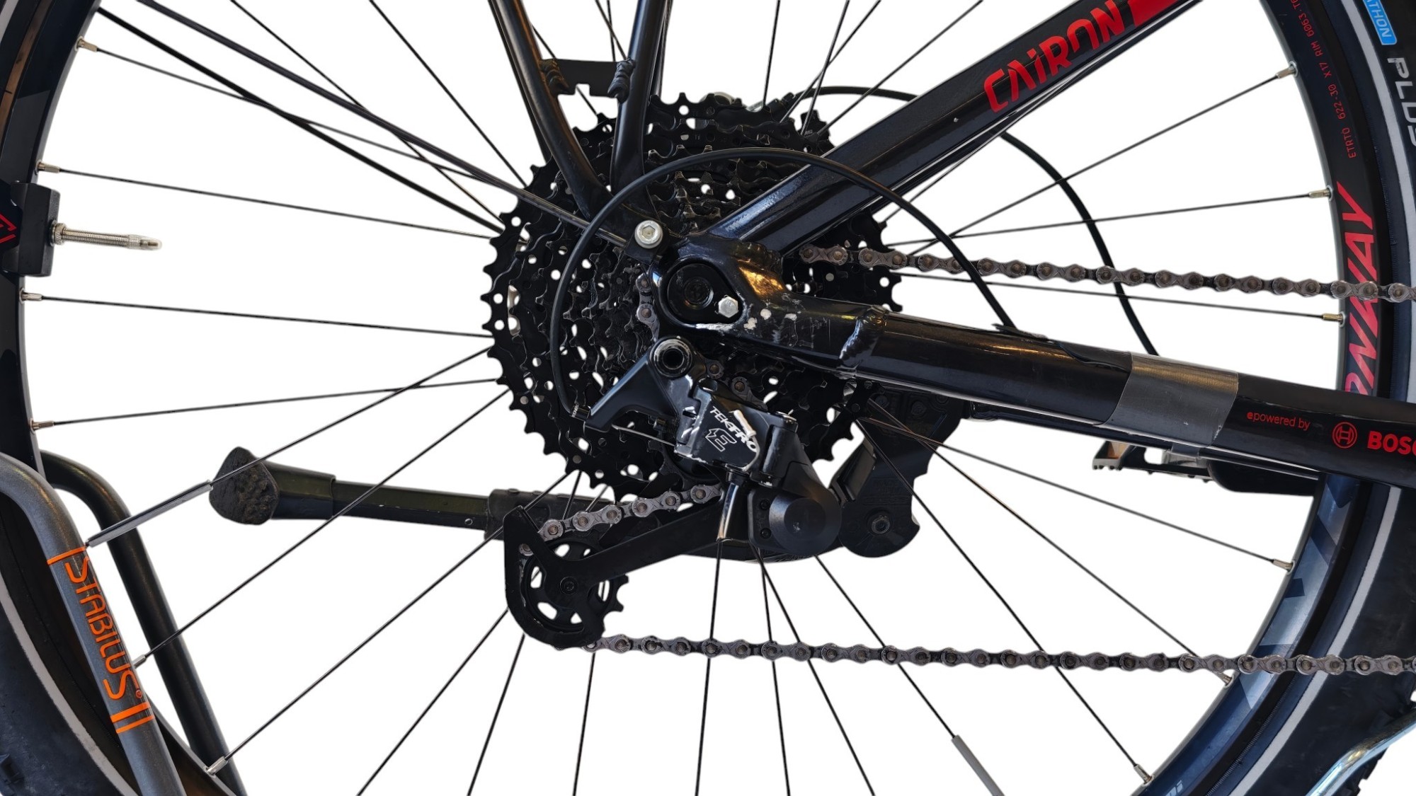 Conway Cairon S 5.0 29" | BOSCH | M