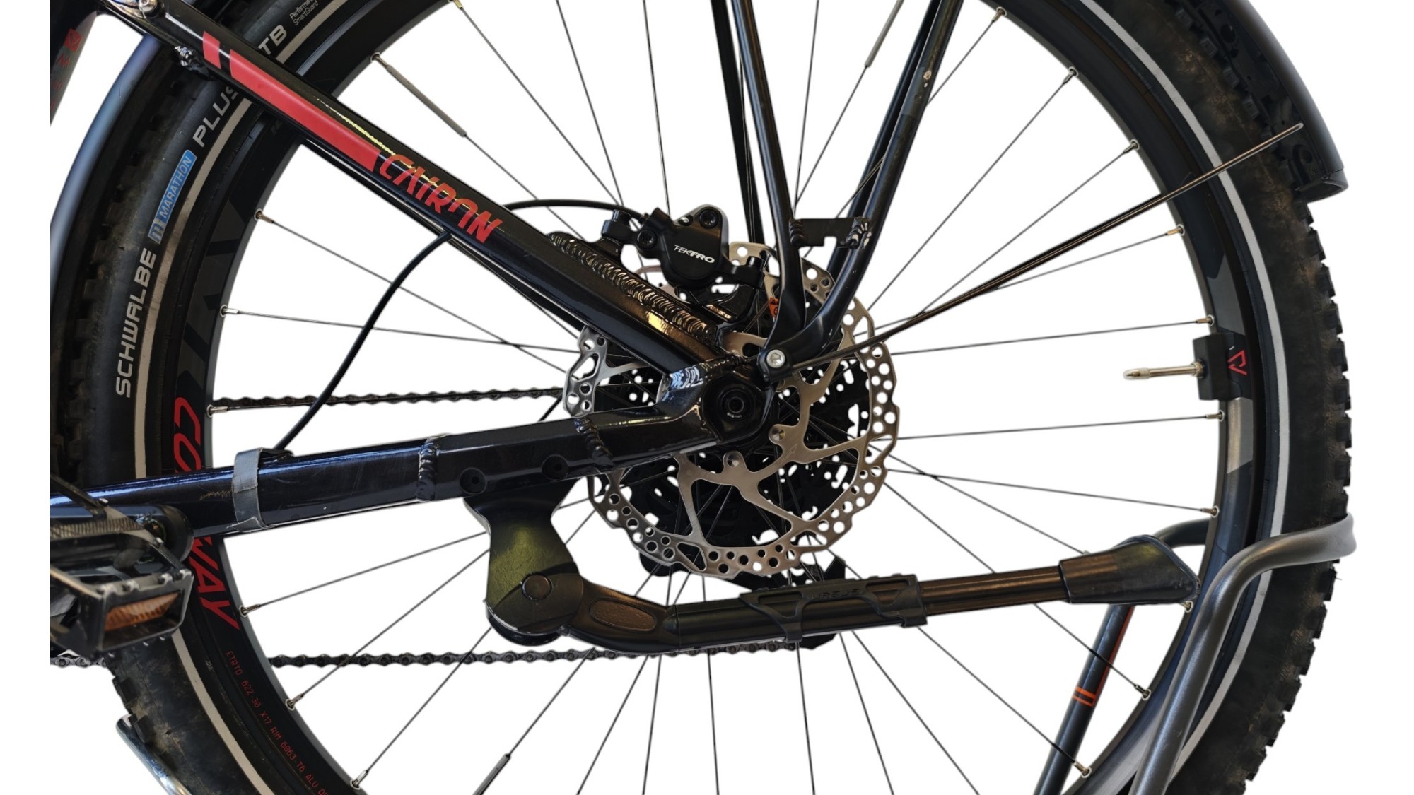 Conway Cairon S 5.0 29" | BOSCH | M