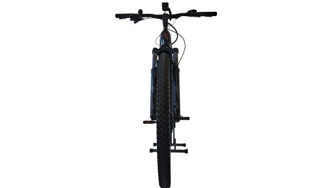 Conway Cairon S 5.0 29" | BOSCH | M