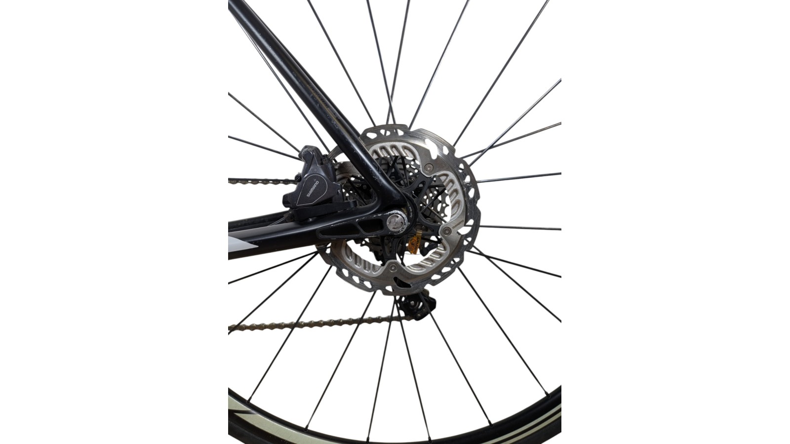 Scott Verona | Scott Solace Ultegra Scott Verona | Scott Solace Ultegra