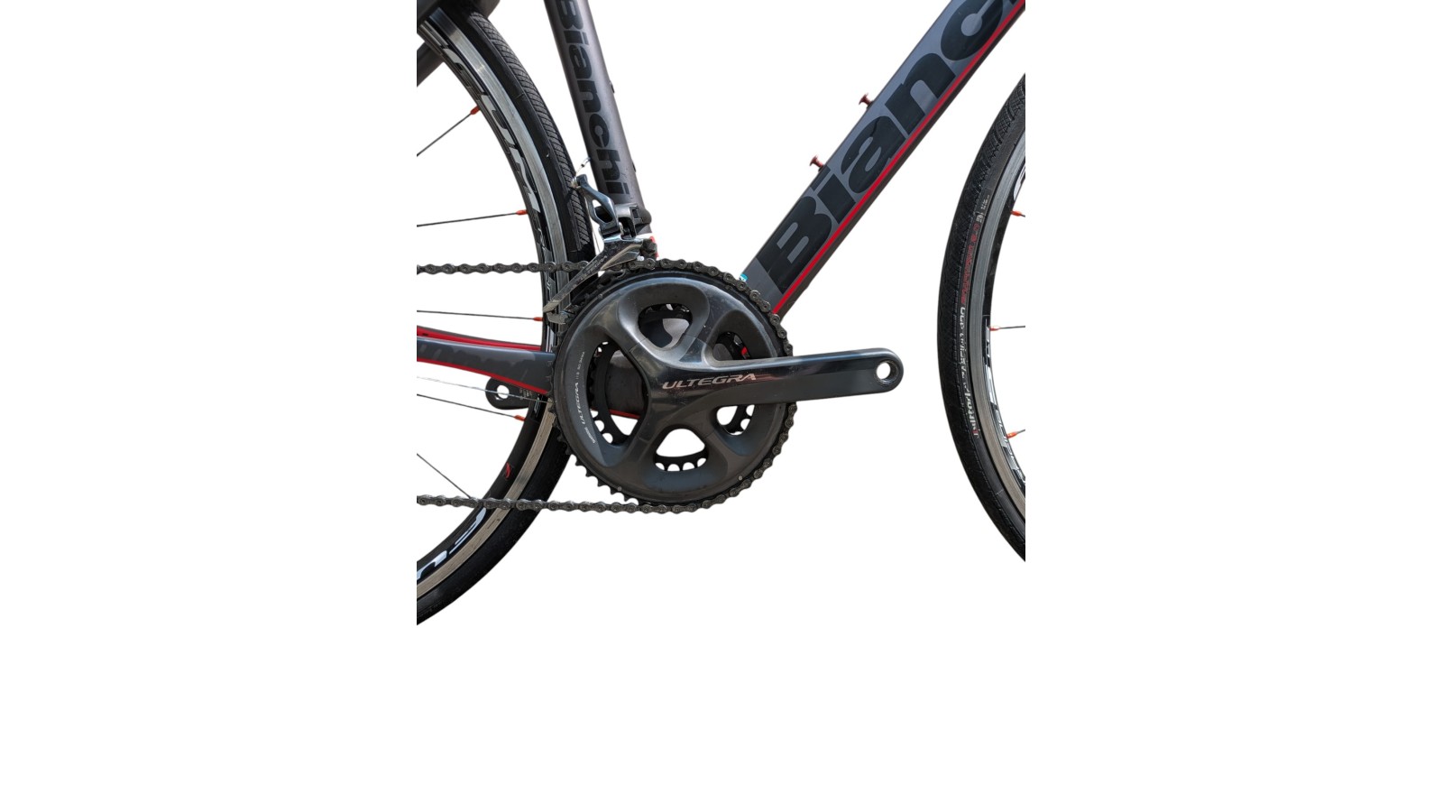 Rennrad München | Bianchi Infinito CV | Shimano Ultegra| 47