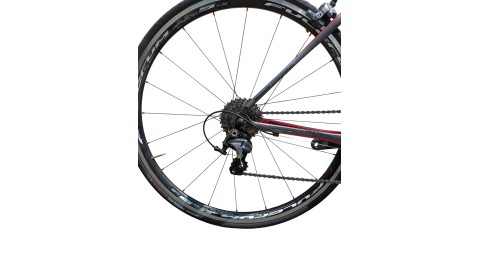 Rennrad München | Bianchi Infinito CV | Shimano Ultegra| 47