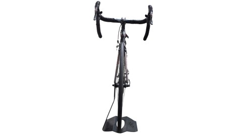 Bianchi München Gebraucht | Bianchi Infinito CV | Campagnolo | 55