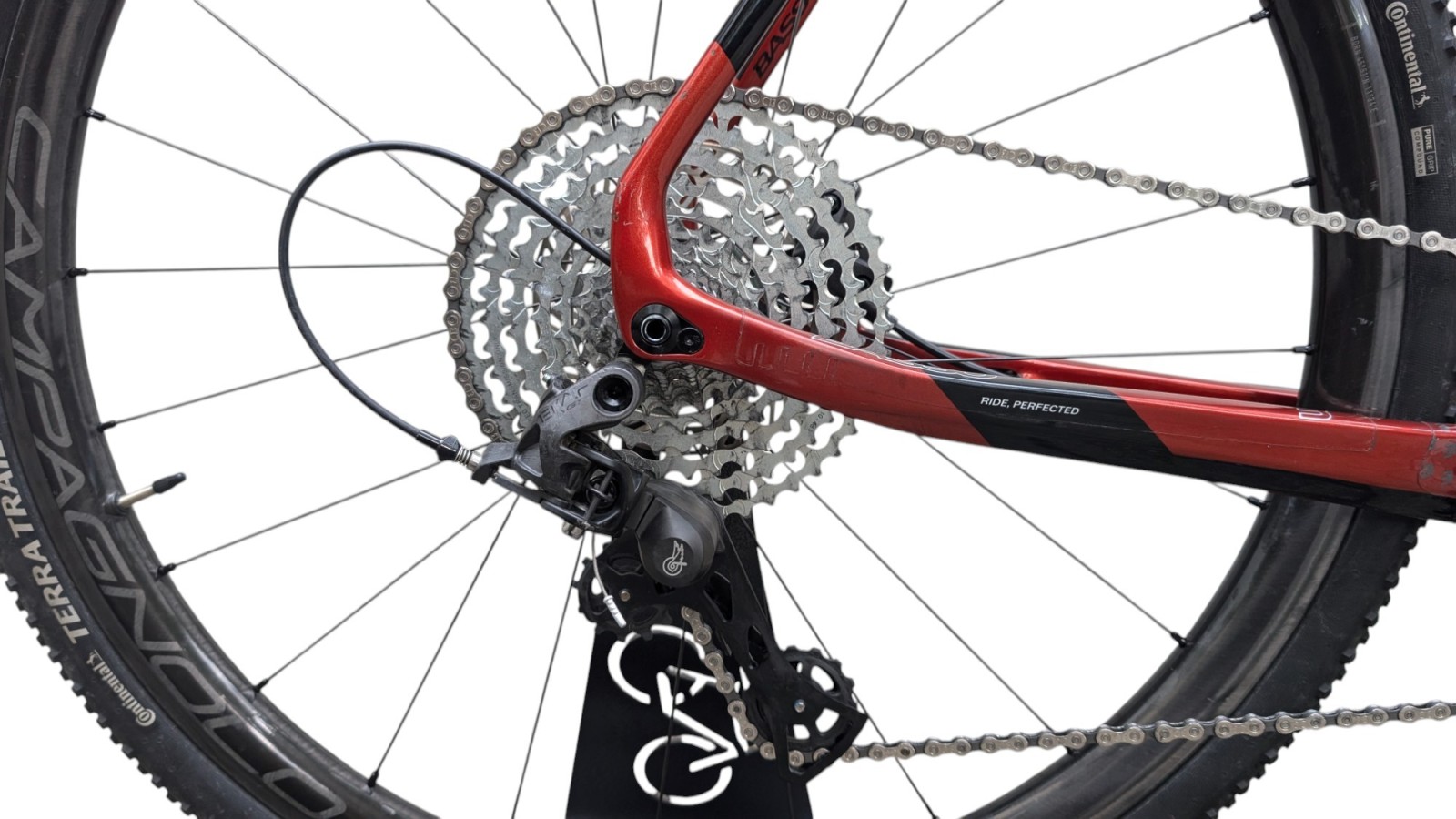 Basso Palta | Campagnolo Ekar 1x13 | XL | Bicycle Republic Basso Palta | Campagnolo Ekar 1x13 | XL | Bicycle Republic