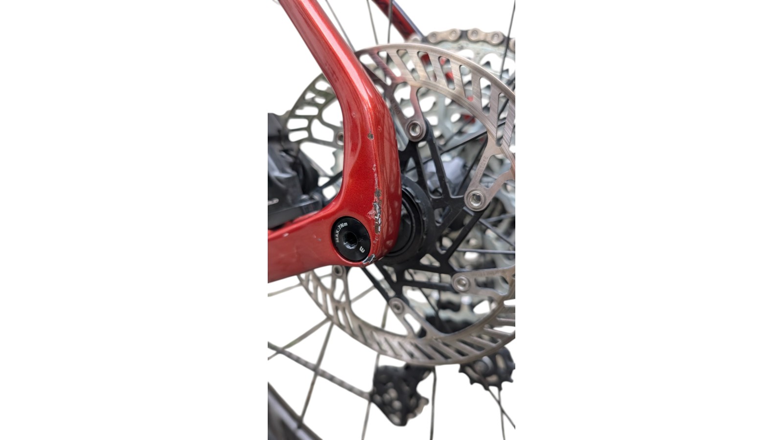 Basso Palta | Campagnolo Ekar 1x13 | XL | Bicycle Republic Basso Palta | Campagnolo Ekar 1x13 | XL | Bicycle Republic