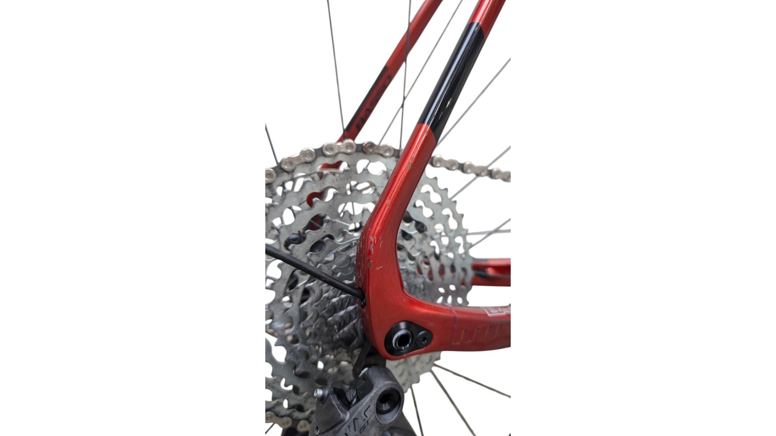 Basso Palta | Campagnolo Ekar 1x13 | XL | Bicycle Republic Basso Palta | Campagnolo Ekar 1x13 | XL | Bicycle Republic