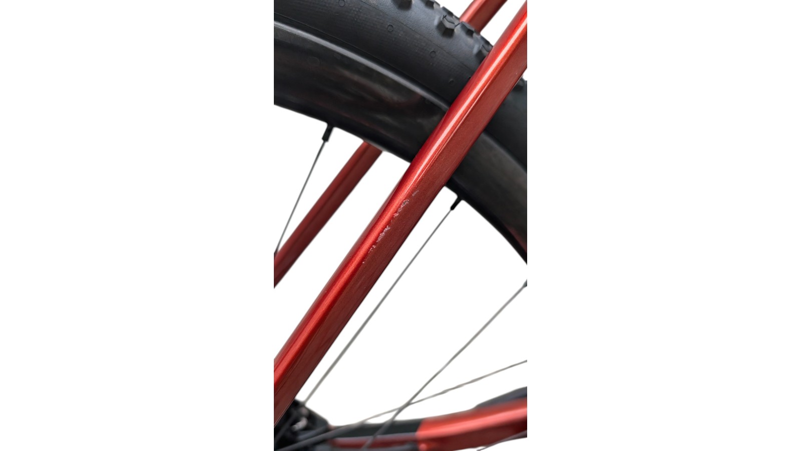 Basso Palta | Campagnolo Ekar 1x13 | S | Bicycle Republic