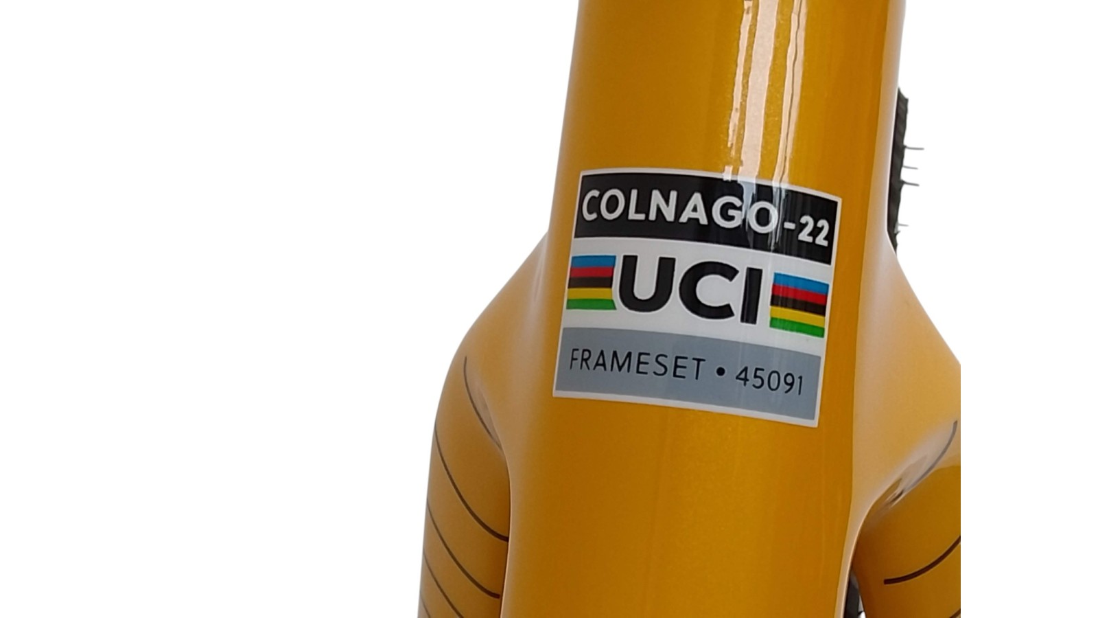 Colnago G4-X | SRAM RIVAL AXS | M | Bicycle Republic