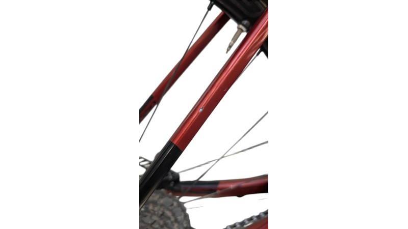 Basso München Gebraucht | Basso Palta | Campagnolo Ekar 1x13 | M