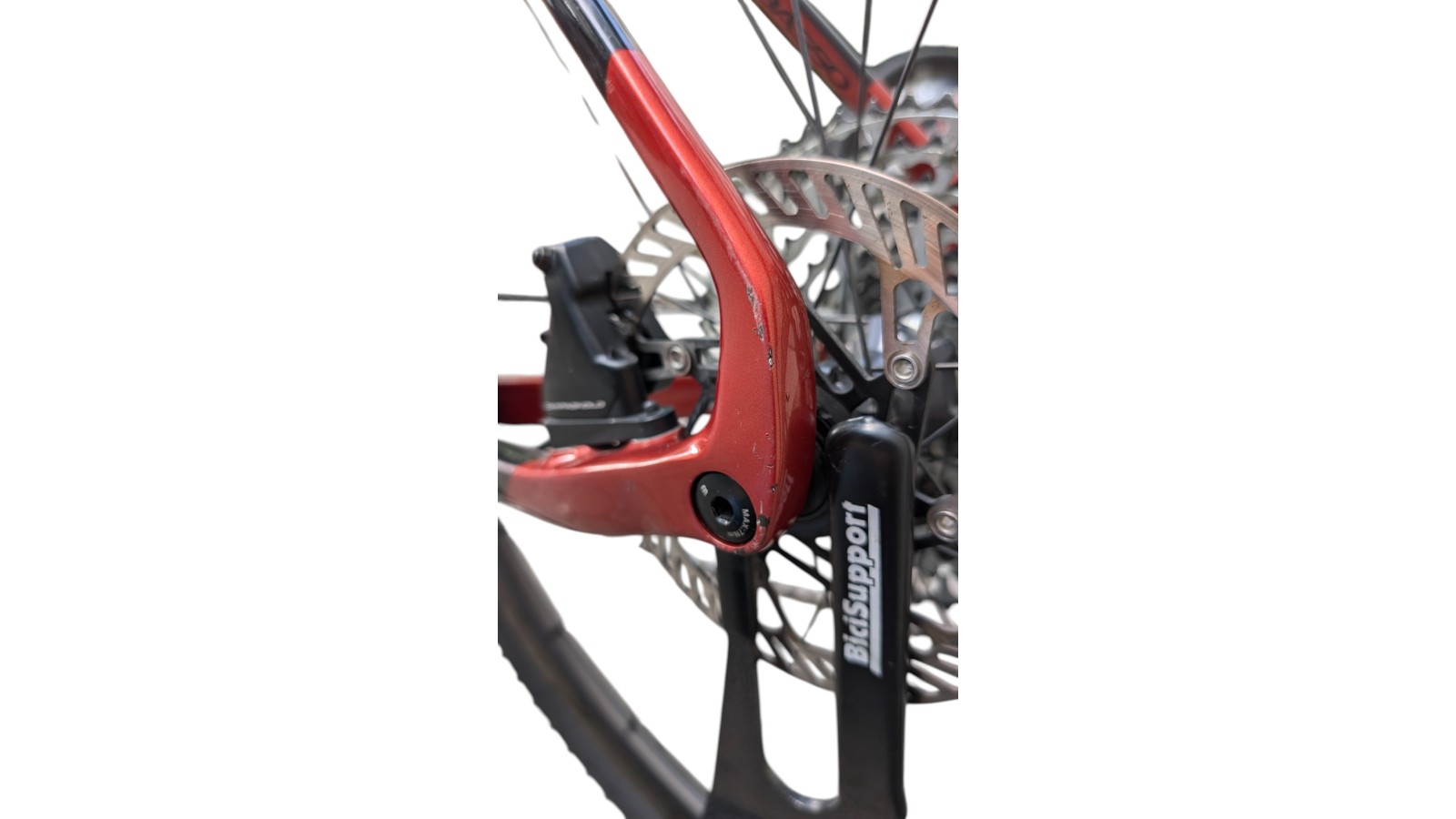 Basso Palta | Campagnolo Ekar 1x13 | M | Bicycle Republic