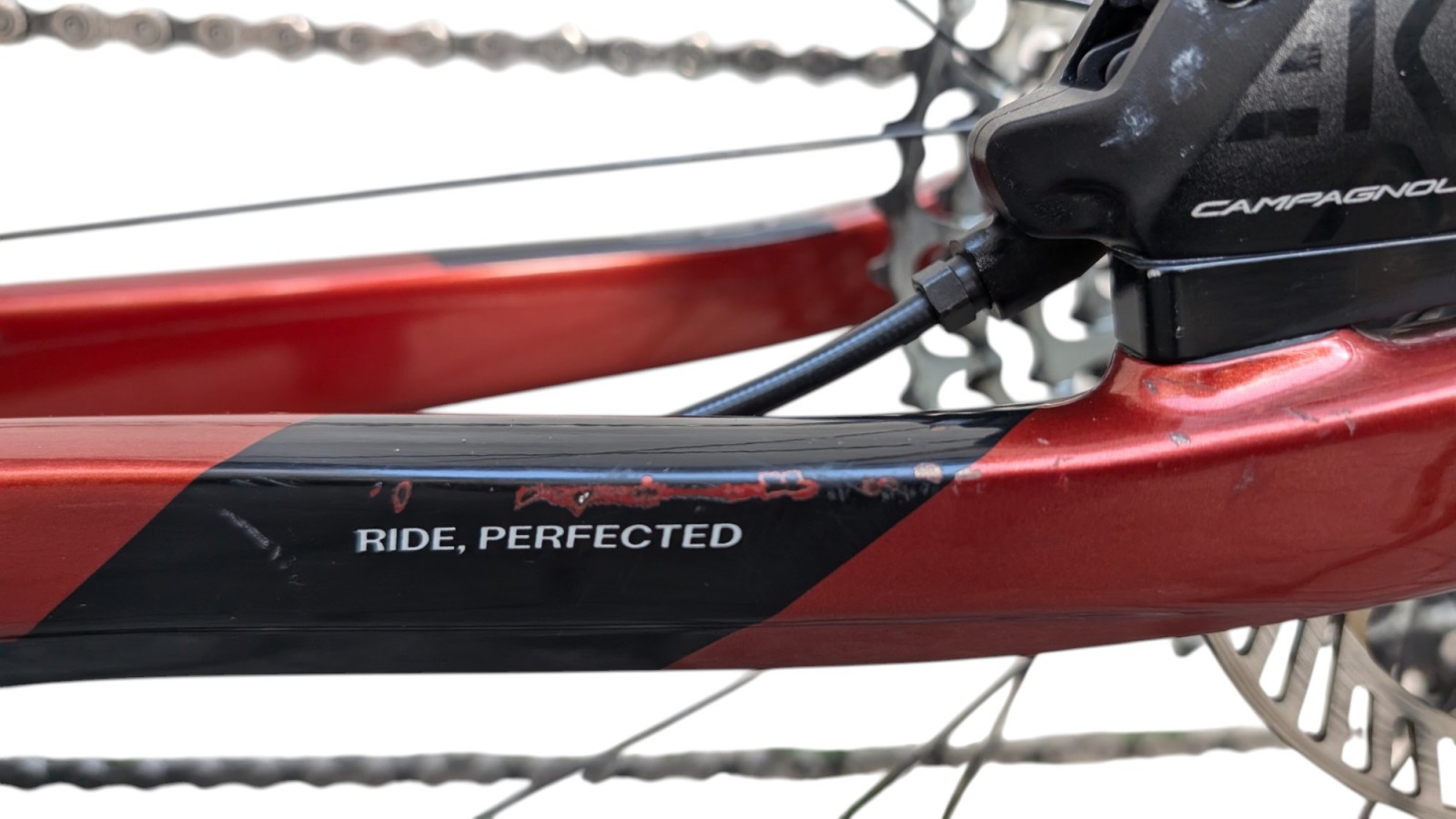 Basso Palta | Campagnolo Ekar 1x13 | M | Bicycle Republic