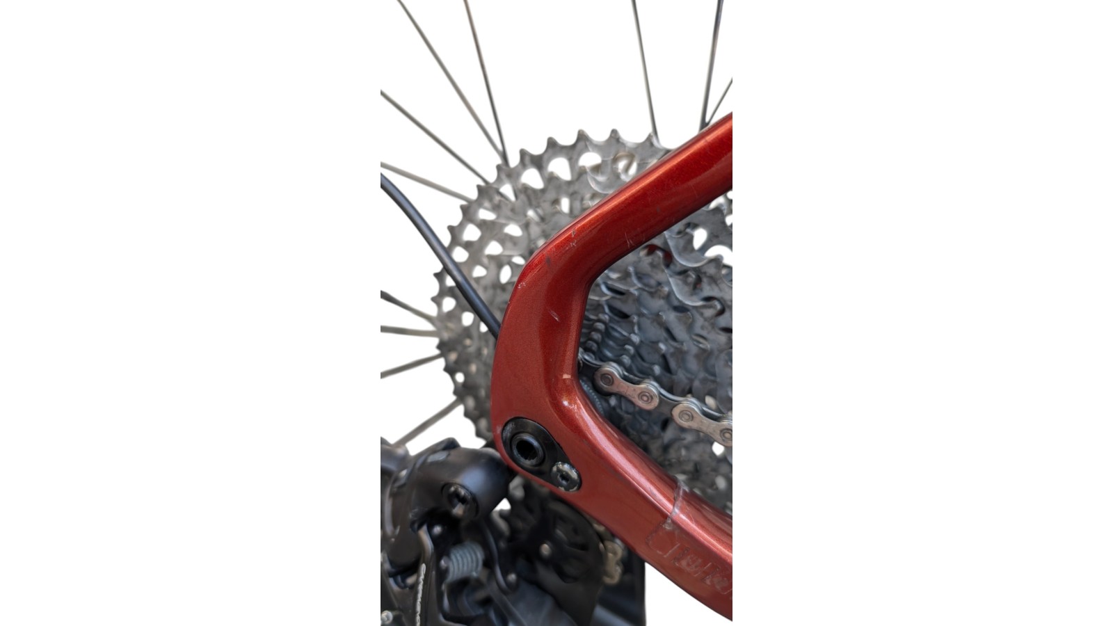 Basso München Gebraucht | Basso Palta | Campagnolo Ekar 1x13 | M