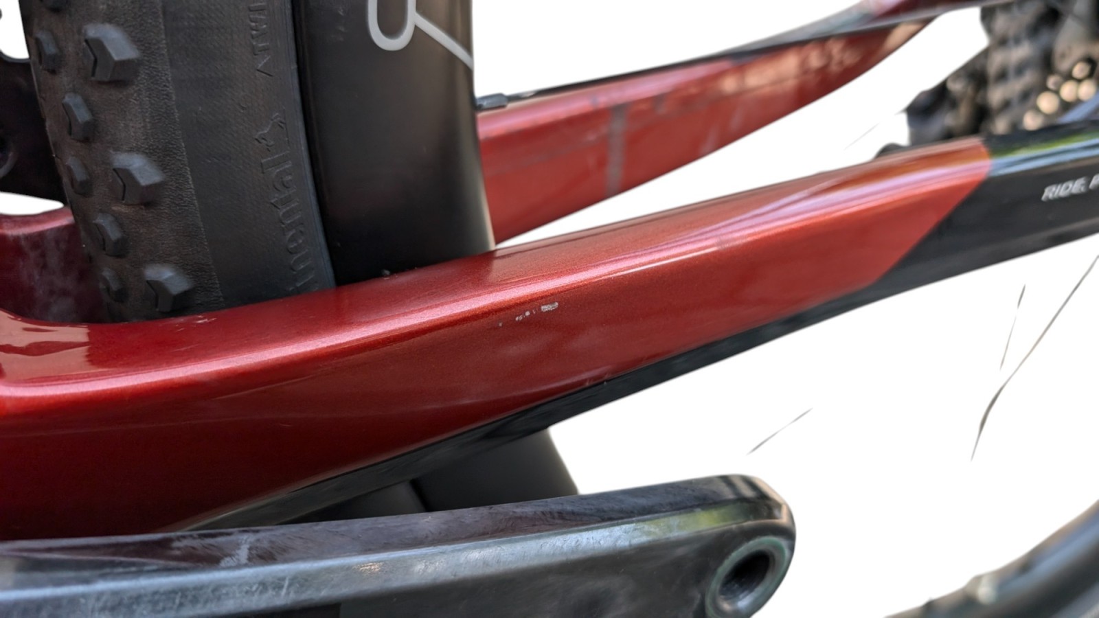 Basso München Gebraucht | Basso Palta | Campagnolo Ekar 1x13 | M