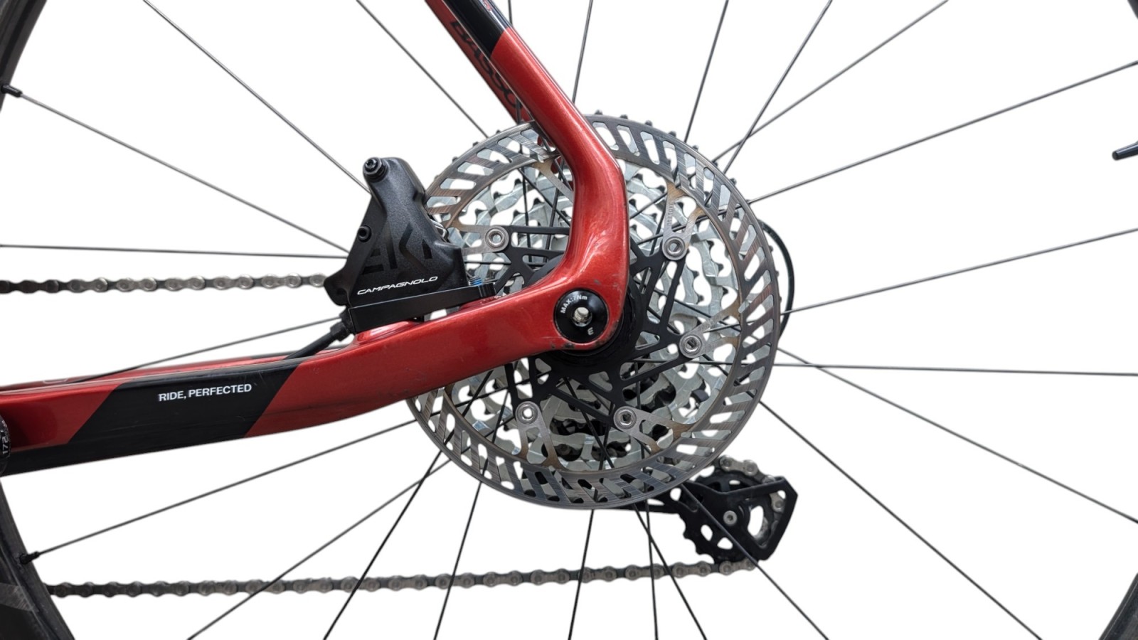 Basso Palta | Campagnolo Ekar 1x13 | L | Bicycle Republic Basso Palta | Campagnolo Ekar 1x13 | L | Bicycle Republic