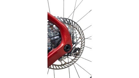 Basso Palta | Campagnolo Ekar 1x13 | L | Bicycle Republic Basso Palta | Campagnolo Ekar 1x13 | L | Bicycle Republic