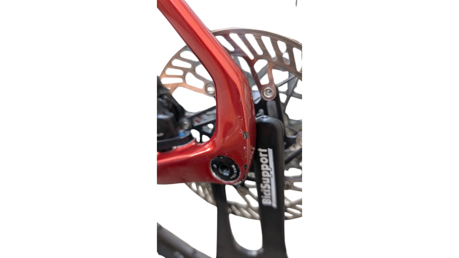 Basso Palta | Campagnolo Ekar 1x13 | L | Bicycle Republic Basso Palta | Campagnolo Ekar 1x13 | L | Bicycle Republic