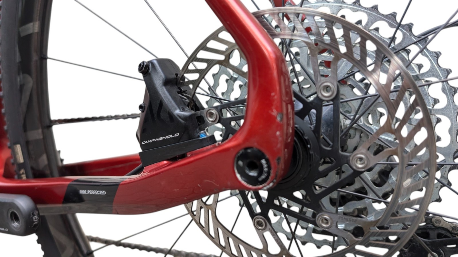 Basso Palta | Campagnolo Ekar 1x13 | L | Bicycle Republic Basso Palta | Campagnolo Ekar 1x13 | L | Bicycle Republic