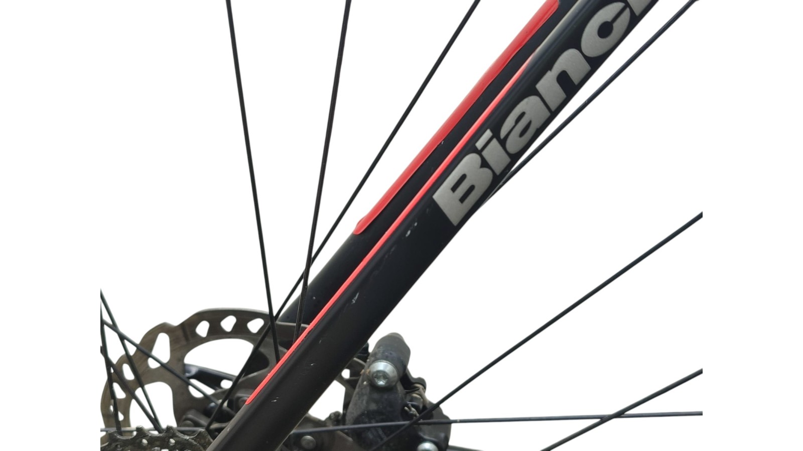 Bianchi München Gebraucht | Bianchi Impulso Allroad | Shimano GRX | 55