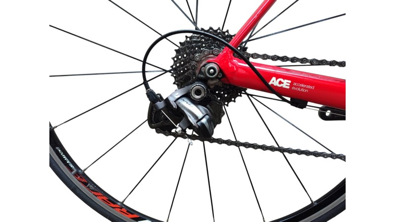 BMC Rennrad München | BMC Teammachine SLR02 | Dura-Ace | 57