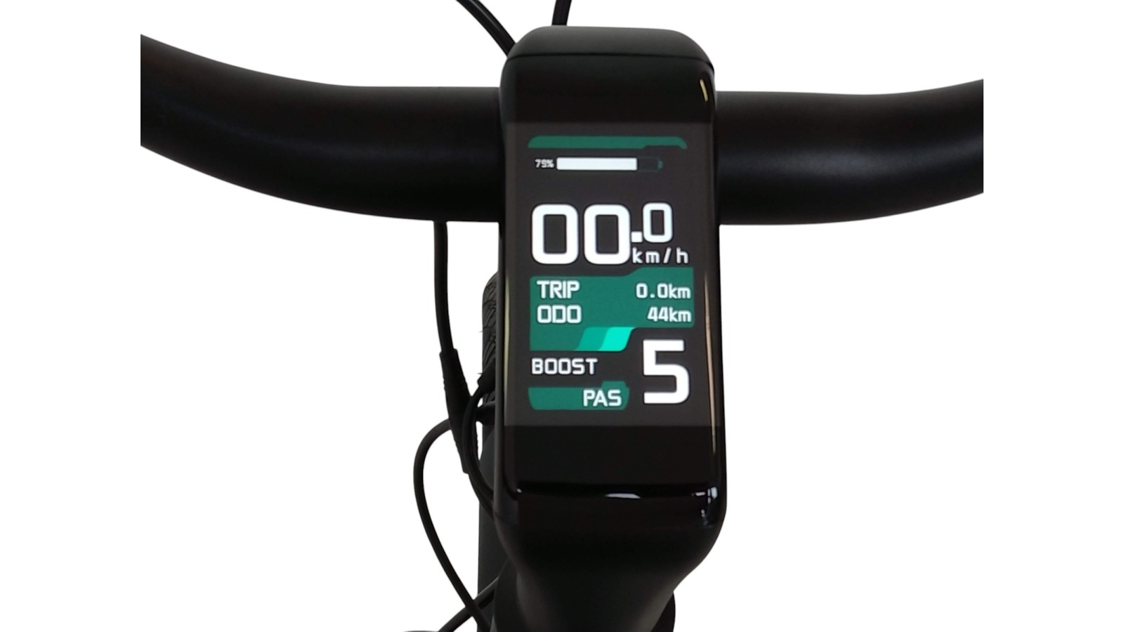 E-Bike Verona | Tenways CGO800S Wave | Mivice M070 | 48