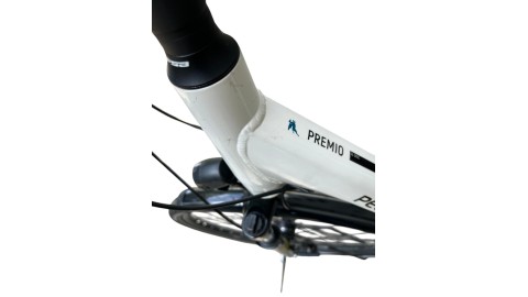 Pegasus München Gebraucht | Pegasus Premio SL 8 Wave | Shimano Nexus